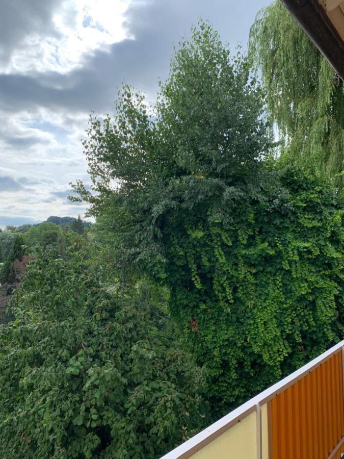 Apartament Blumenblick Rielasingen-Worblingen Kültér fotó
