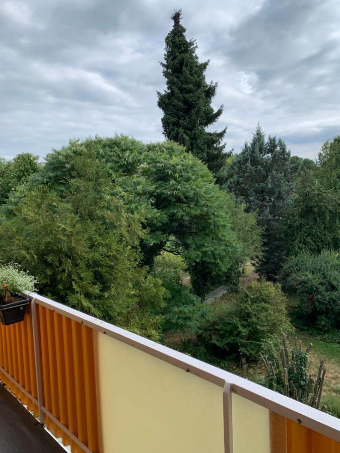Apartament Blumenblick Rielasingen-Worblingen Kültér fotó