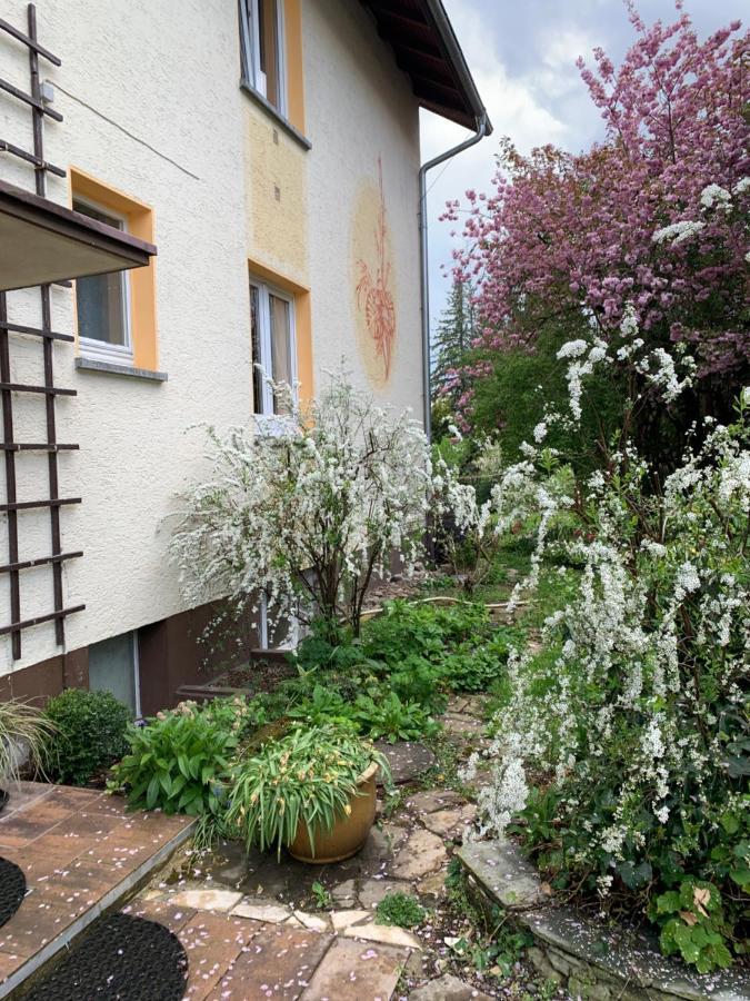 Apartament Blumenblick Rielasingen-Worblingen Kültér fotó